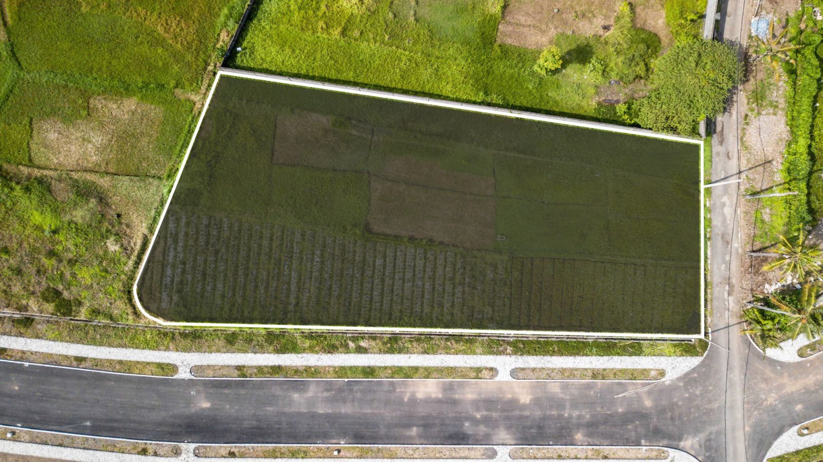 PLOT IN THE UPCOMING CIPUTRA AREA